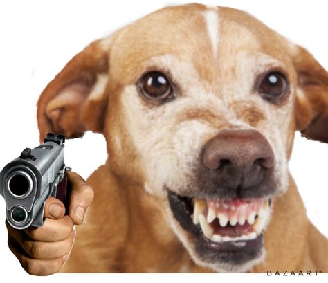 Dog with Gun 